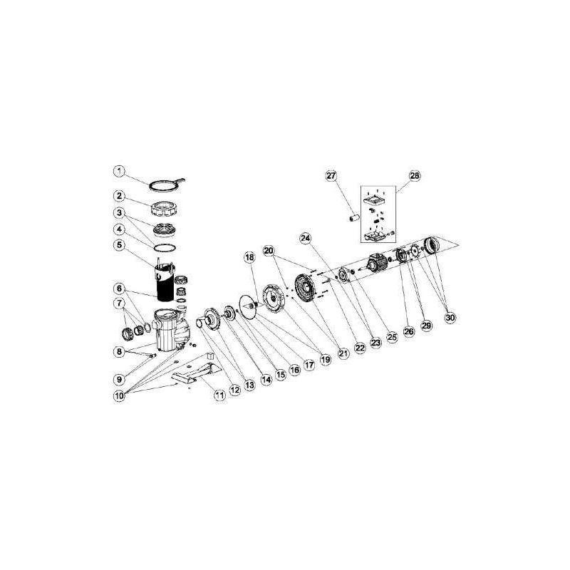 Conjunto cojinetes para bomba Sena 1 CV Astralpool. 4405010135