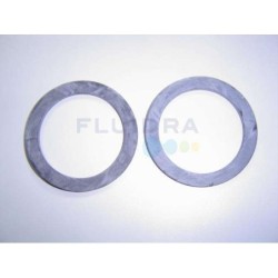 Junta plana 55X72X3.5 enl. filtro cant D.750 Astralpool. 4404180408