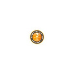 Clorador salino Idegis Domotic 2 DOM2-24PH/LS