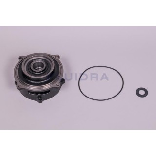 SOPORTE MOTOR 5,5 HP (1198/1199) ASTRALPOOL. 4405020226