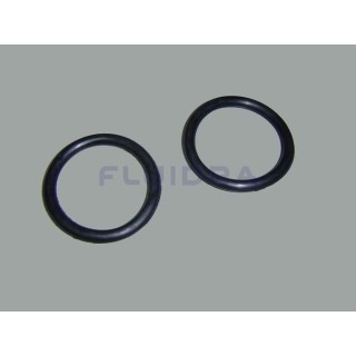JUNTA TORICA D. 60x8 Astralpool. 4404040115