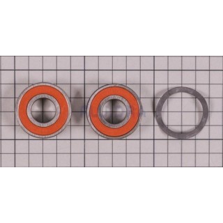 RODAMIENTO TRASERO 6203 ASTRALPOOL. 4405010742
